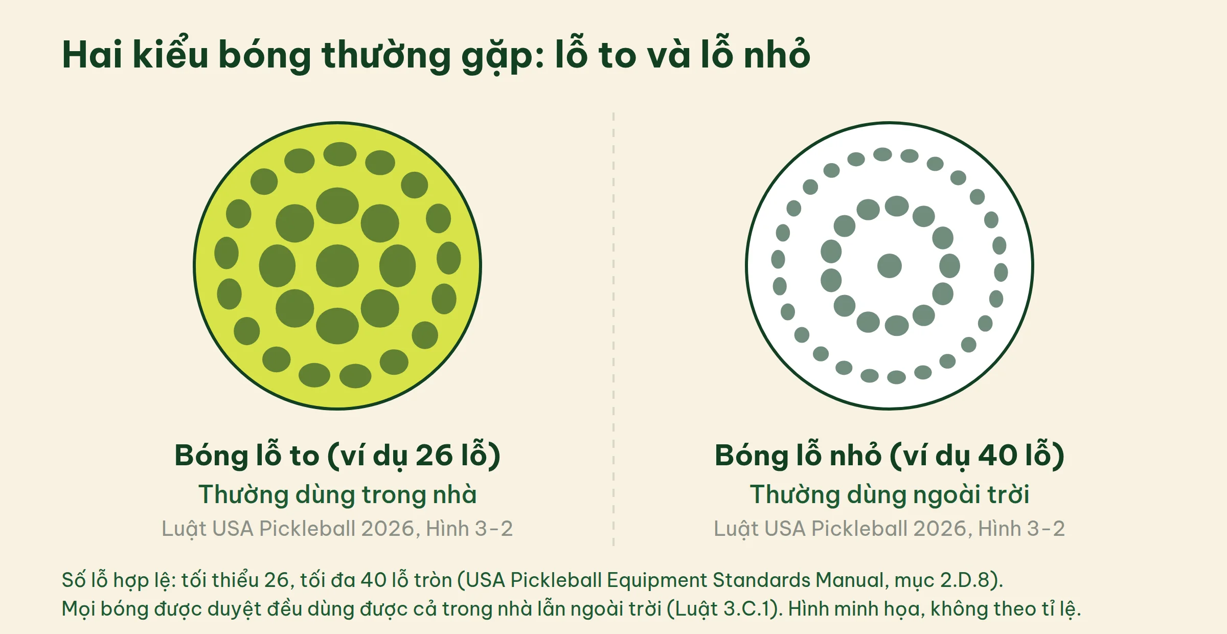 Hai quả bóng pickleball vẽ cạnh nhau: bên trái ít lỗ và lỗ to, bên phải nhiều lỗ và lỗ nhỏ