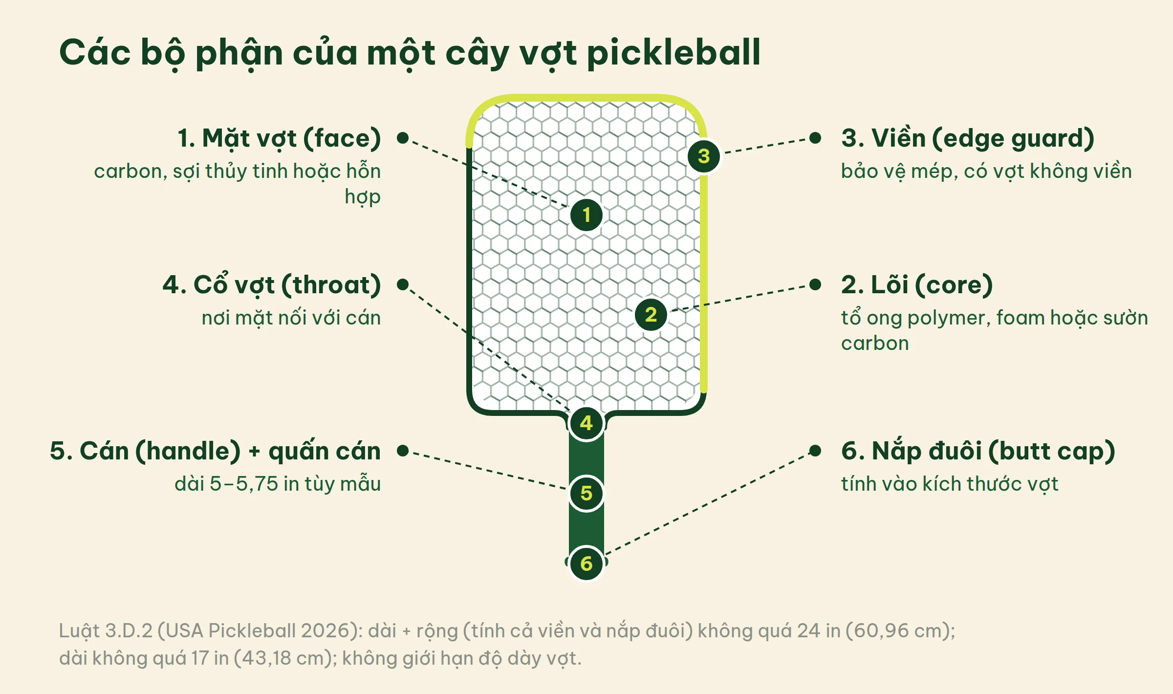 Sơ đồ cây vợt pickleball đánh số sáu bộ phận: mặt vợt, lõi, viền, cổ vợt, cán và nắp đuôi