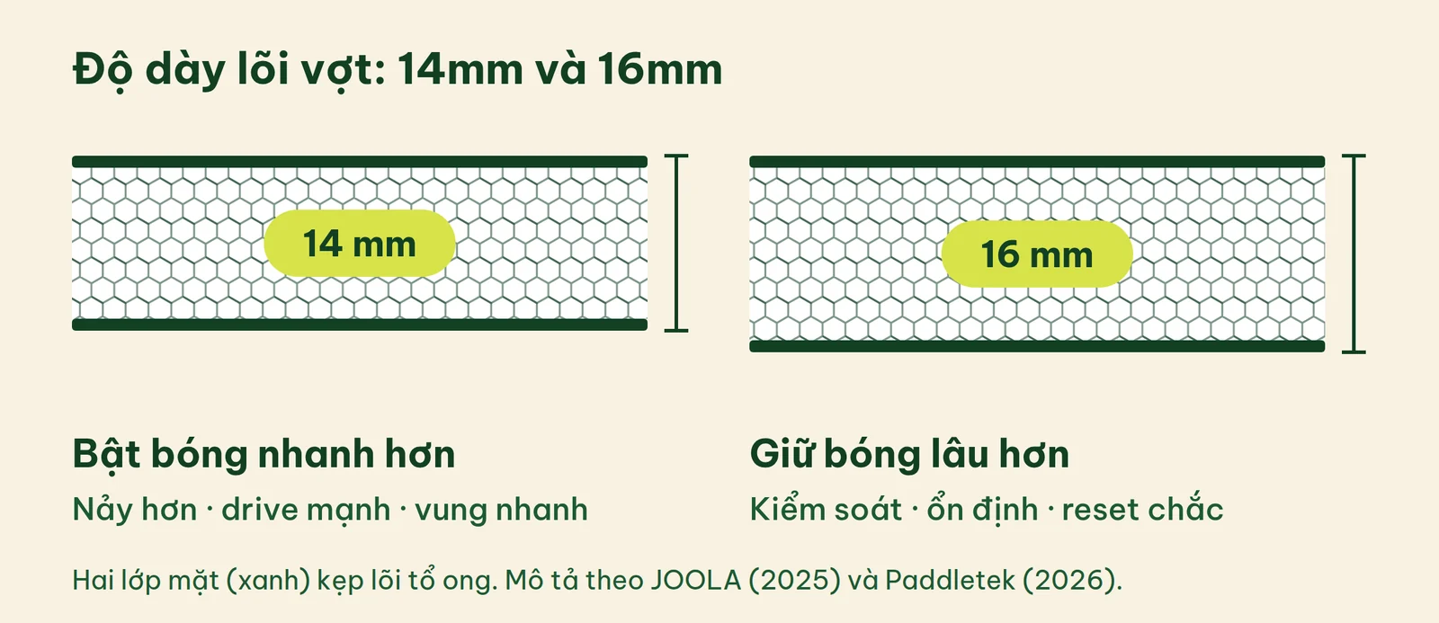 Mặt cắt hai lõi vợt pickleball 14mm và 16mm đặt cạnh nhau: lõi dày giữ bóng trên mặt vợt lâu hơn, lõi mỏng bật bóng đi nhanh hơn