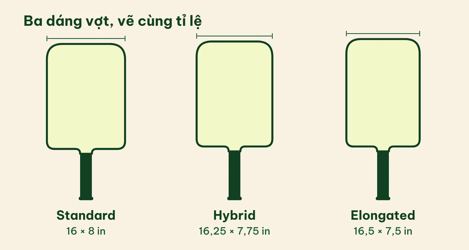 Ba khuôn vợt pickleball vẽ cùng tỉ lệ: Standard 16 × 8 inch, Hybrid 16,25 × 7,75 inch, Elongated 16,5 × 7,5 inch