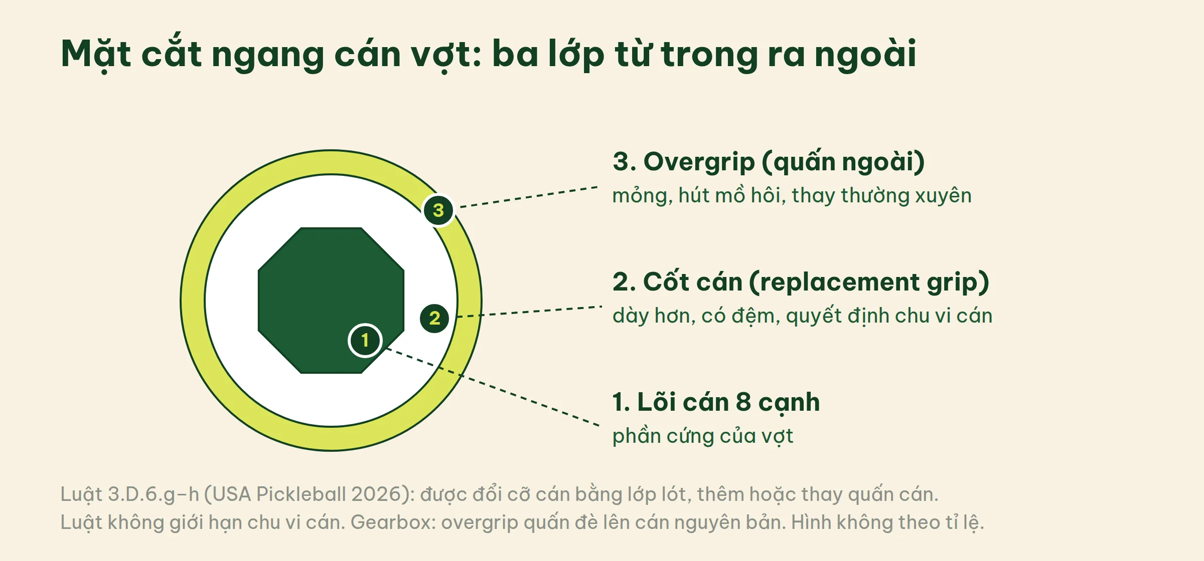 Mặt cắt ngang cán vợt pickleball: lõi tám cạnh ở giữa, lớp cốt cán bọc ngoài, lớp overgrip mỏng ngoài cùng