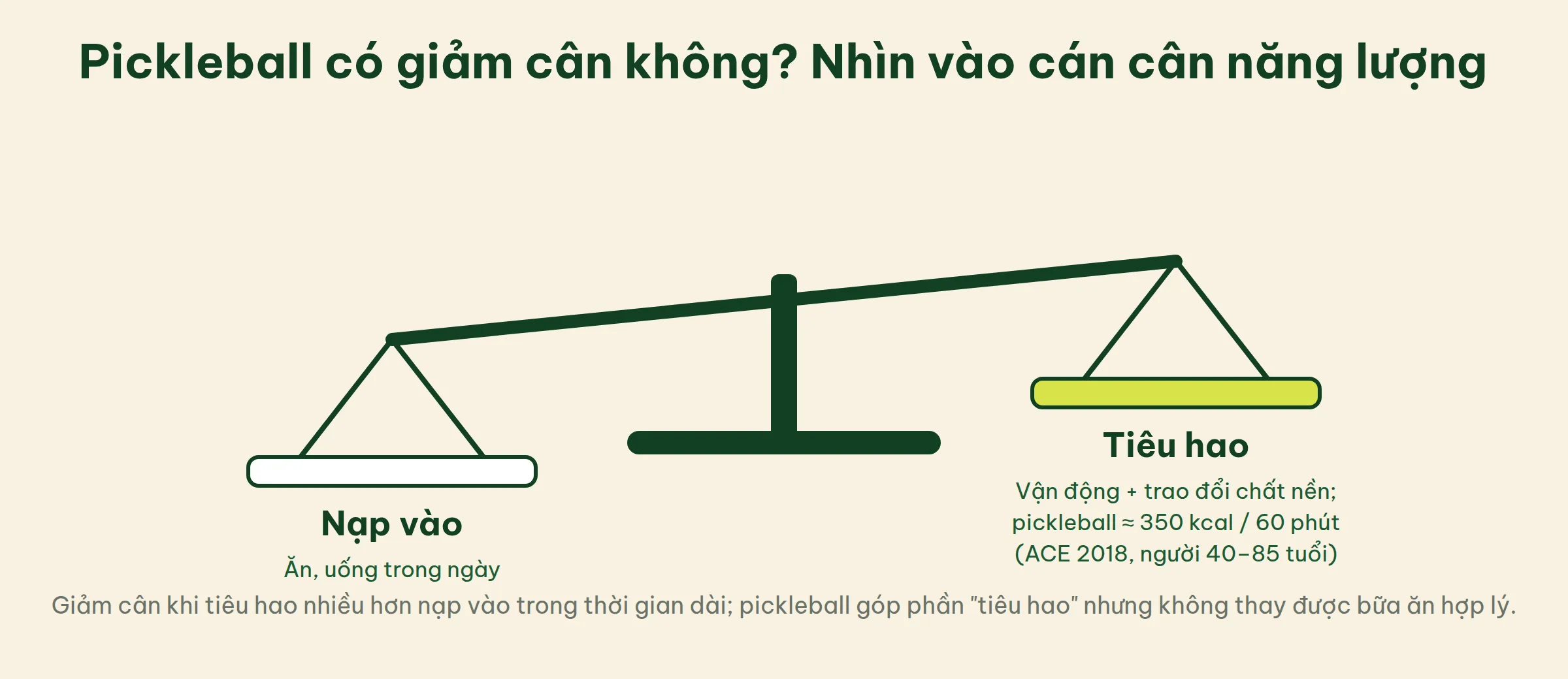 Cán cân năng lượng: bên nạp vào là ăn uống, bên tiêu hao là vận động và trao đổi chất nền, trong đó pickleball khoảng 350 kcal mỗi 60 phút theo ACE