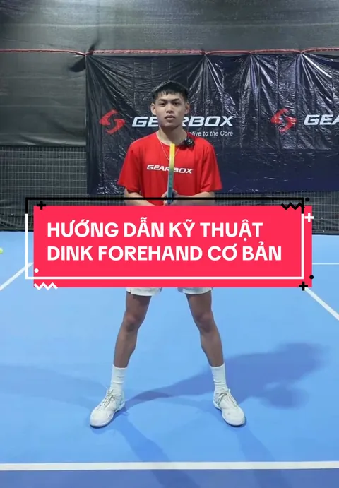 Hướng dẫn kỹ thuật dink forehand cơ bản