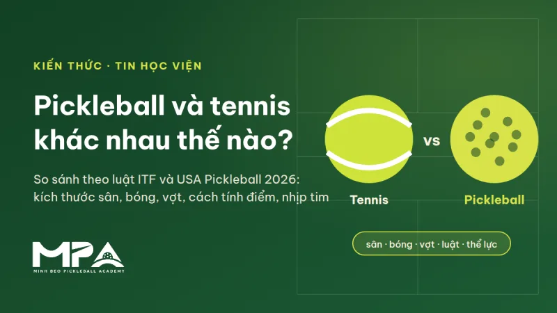 Pickleball và tennis khác nhau như thế nào? So sánh sân, lưới, bóng, vợt, luật chơi và thể lực